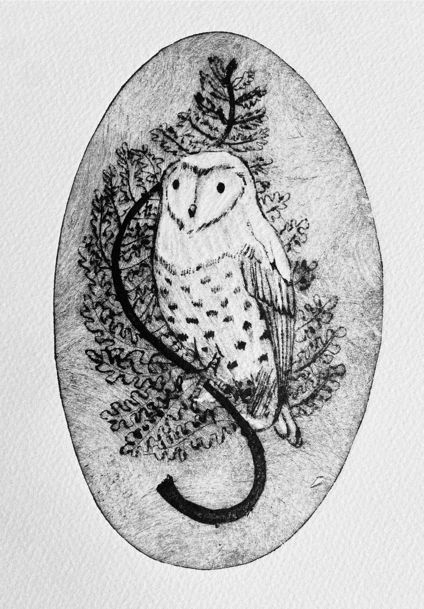 Owl & Fern