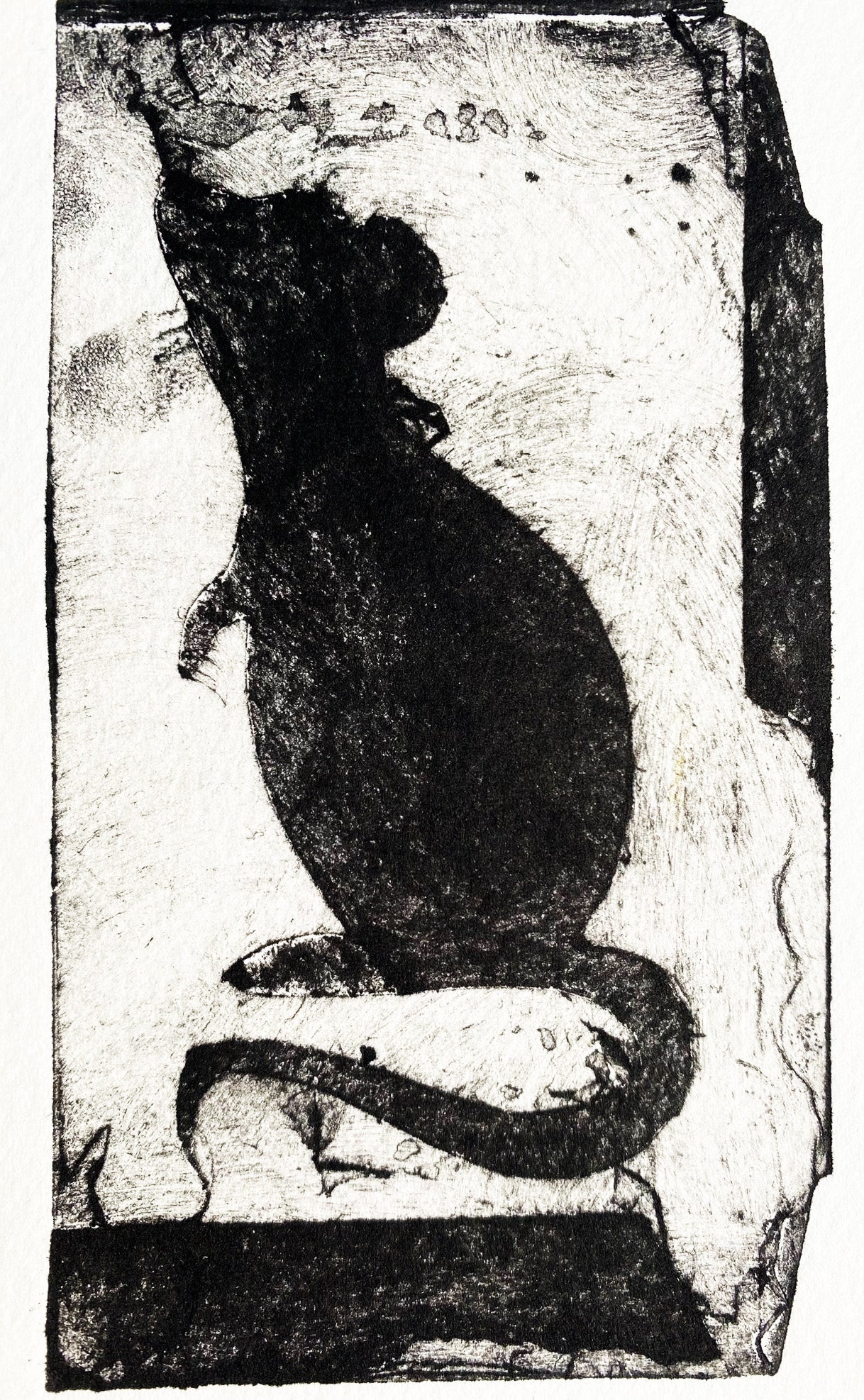 Mouse