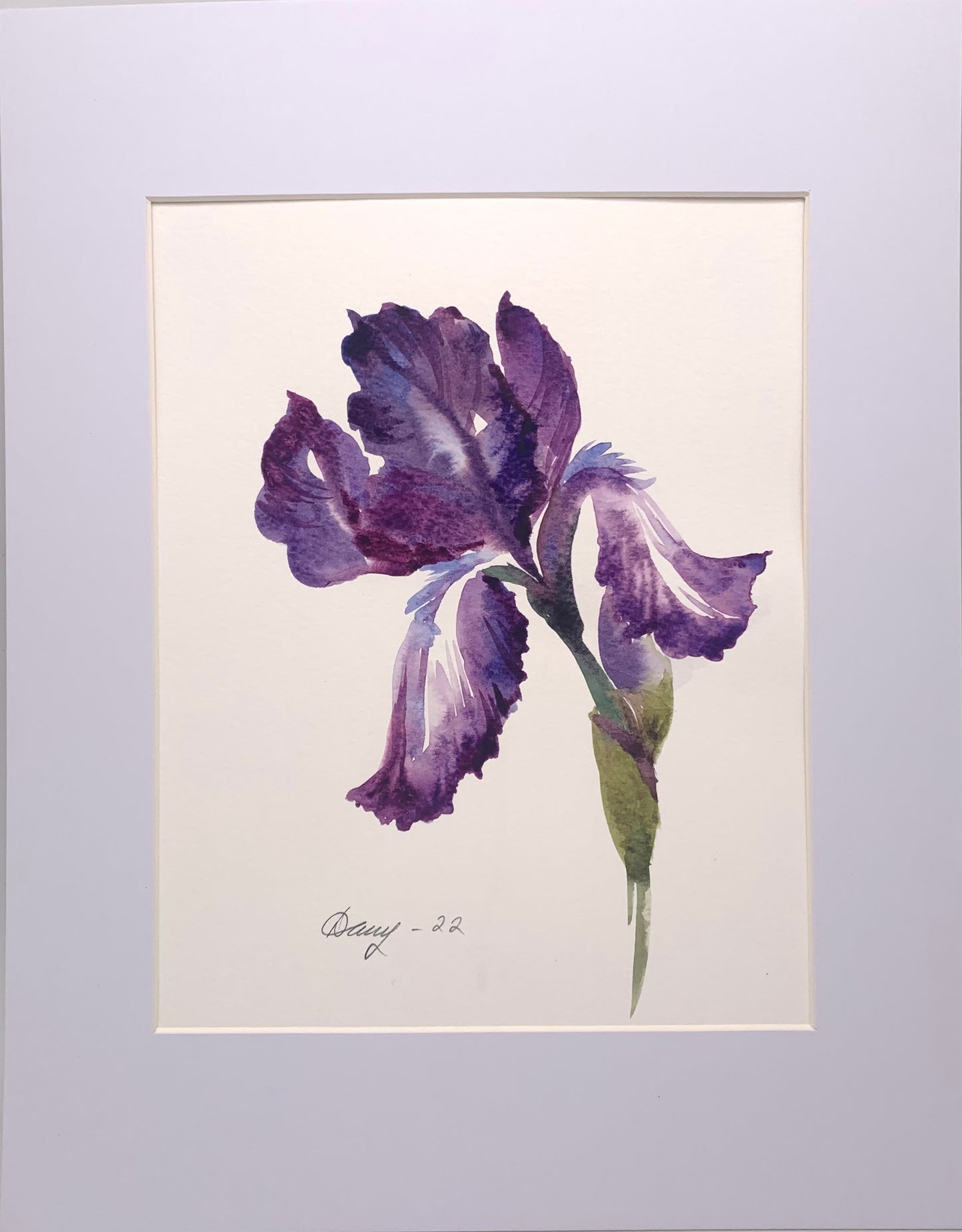 Iris I