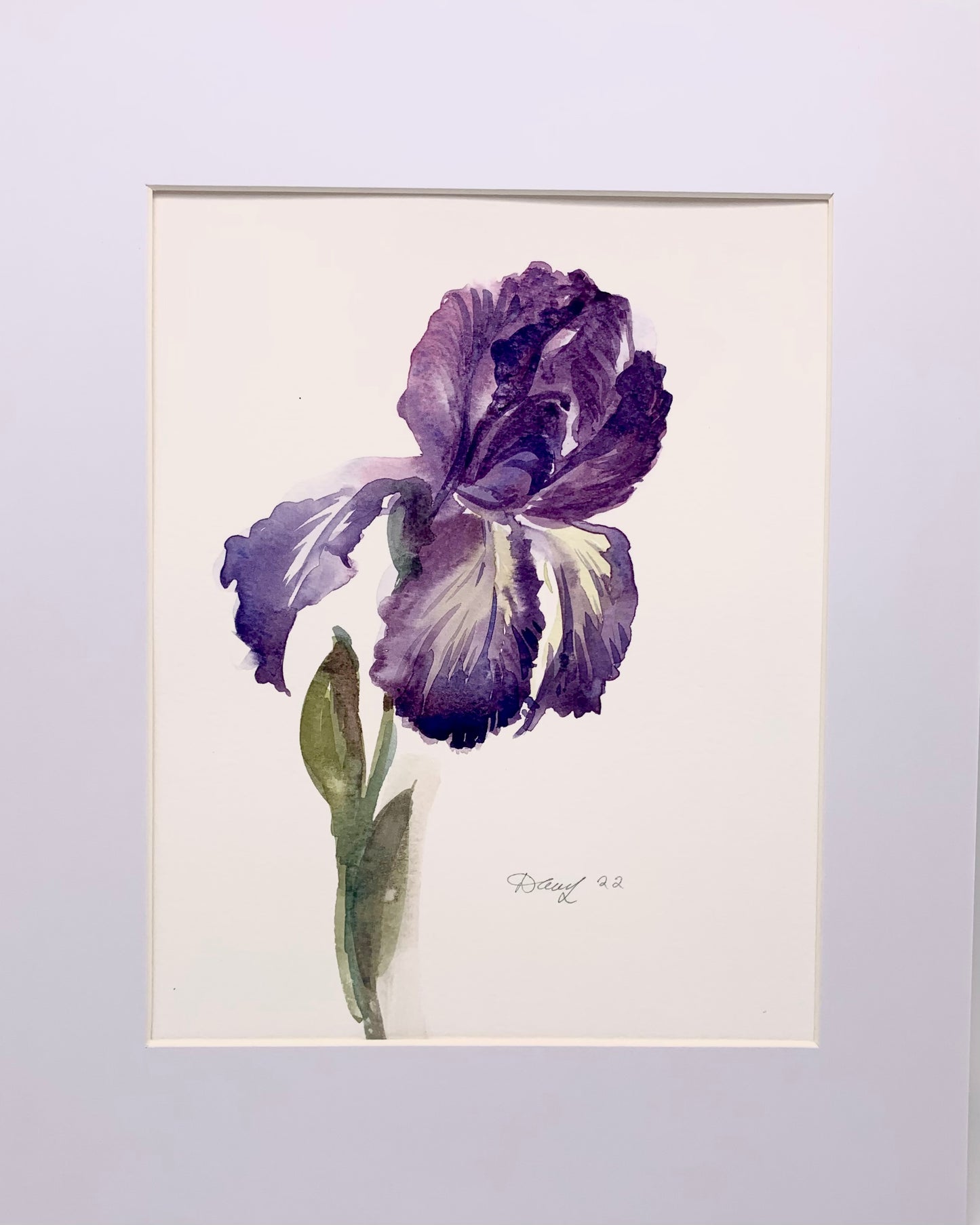 Iris II