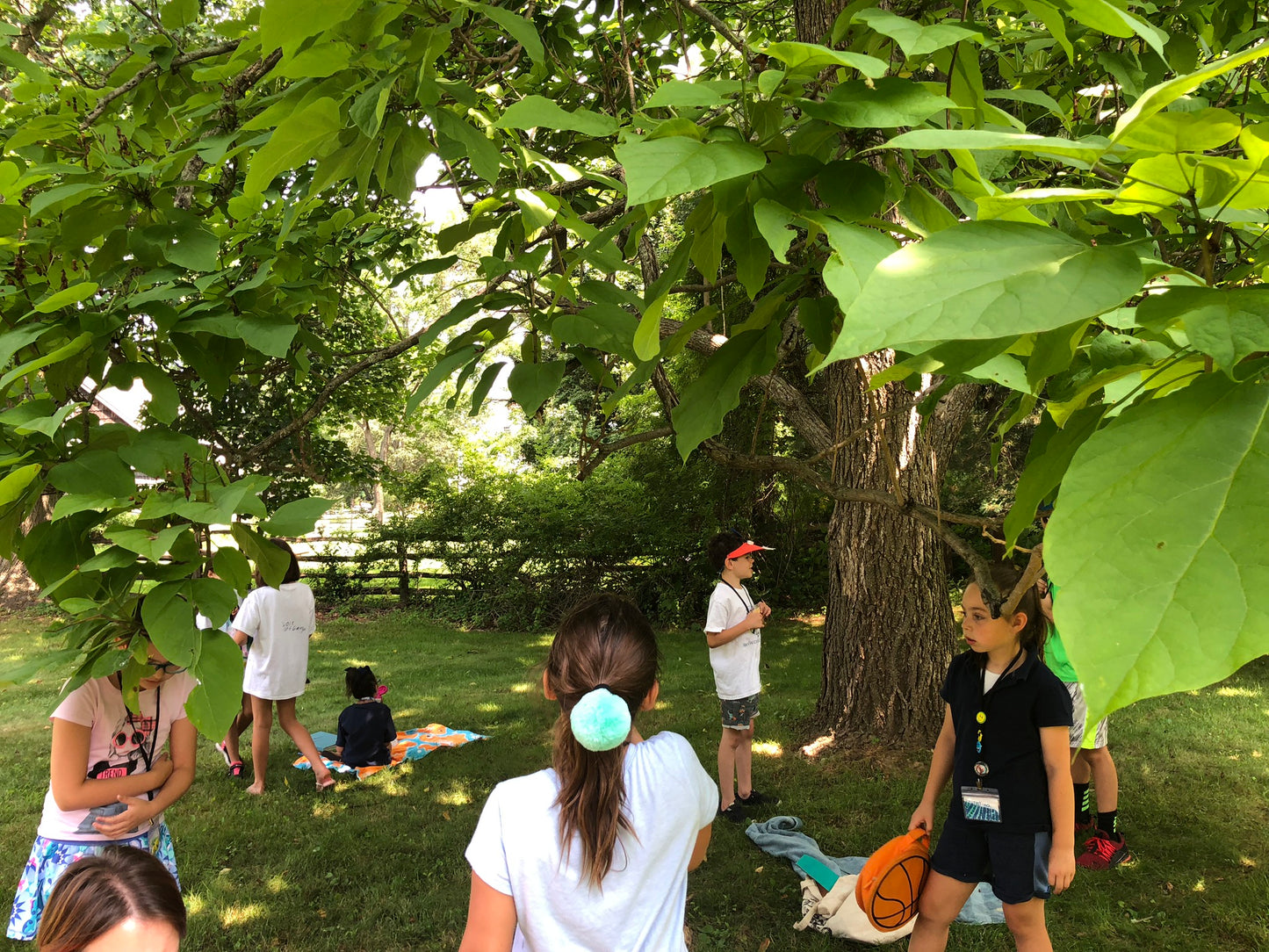 Creature Week! ArtVentures Summer 2025