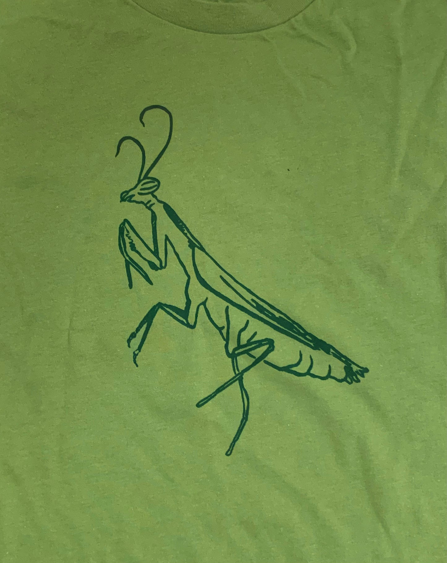 Studio Printed Shirts