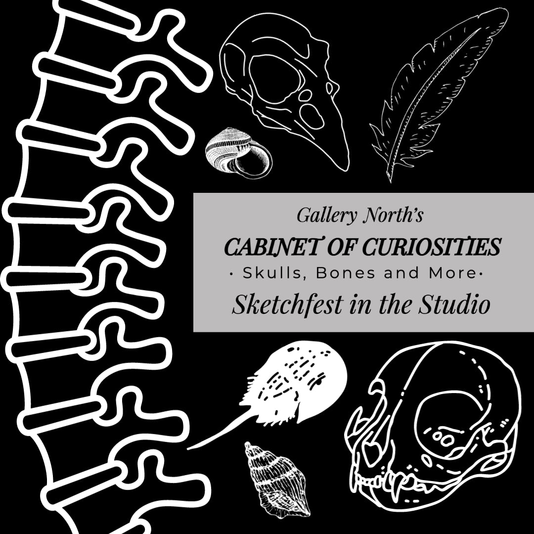 10-30 Cabinet of Curiosities Sketch Night; Skulls, Bones & More!
