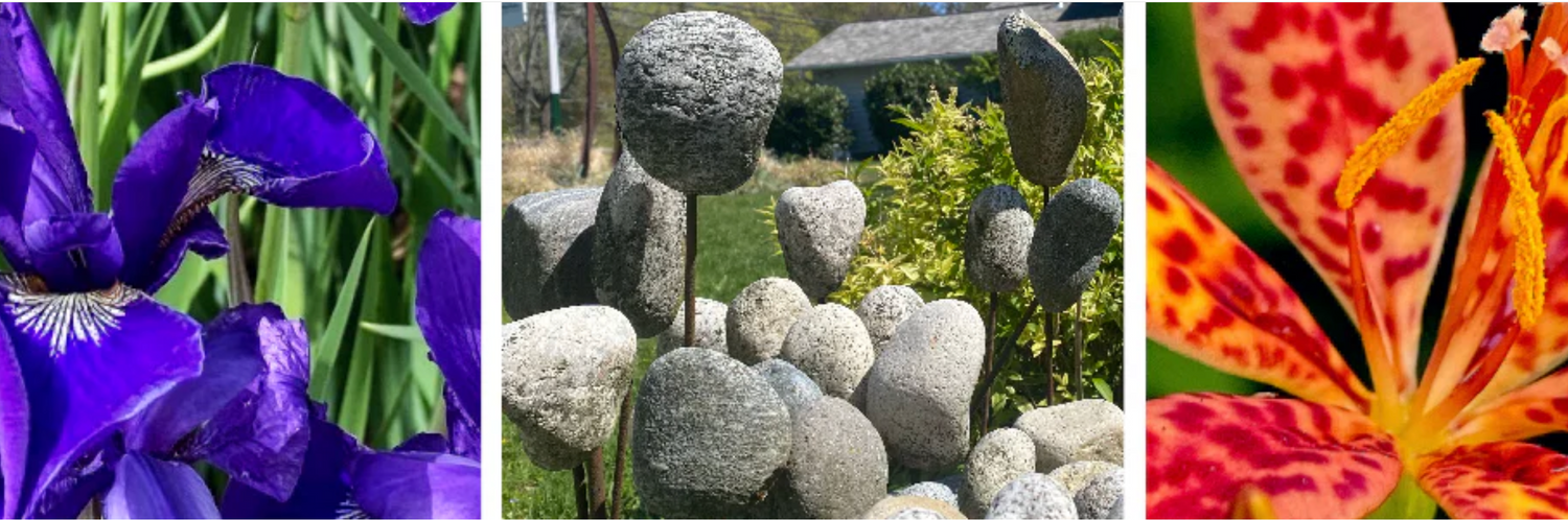 The Gardens at Gallery North