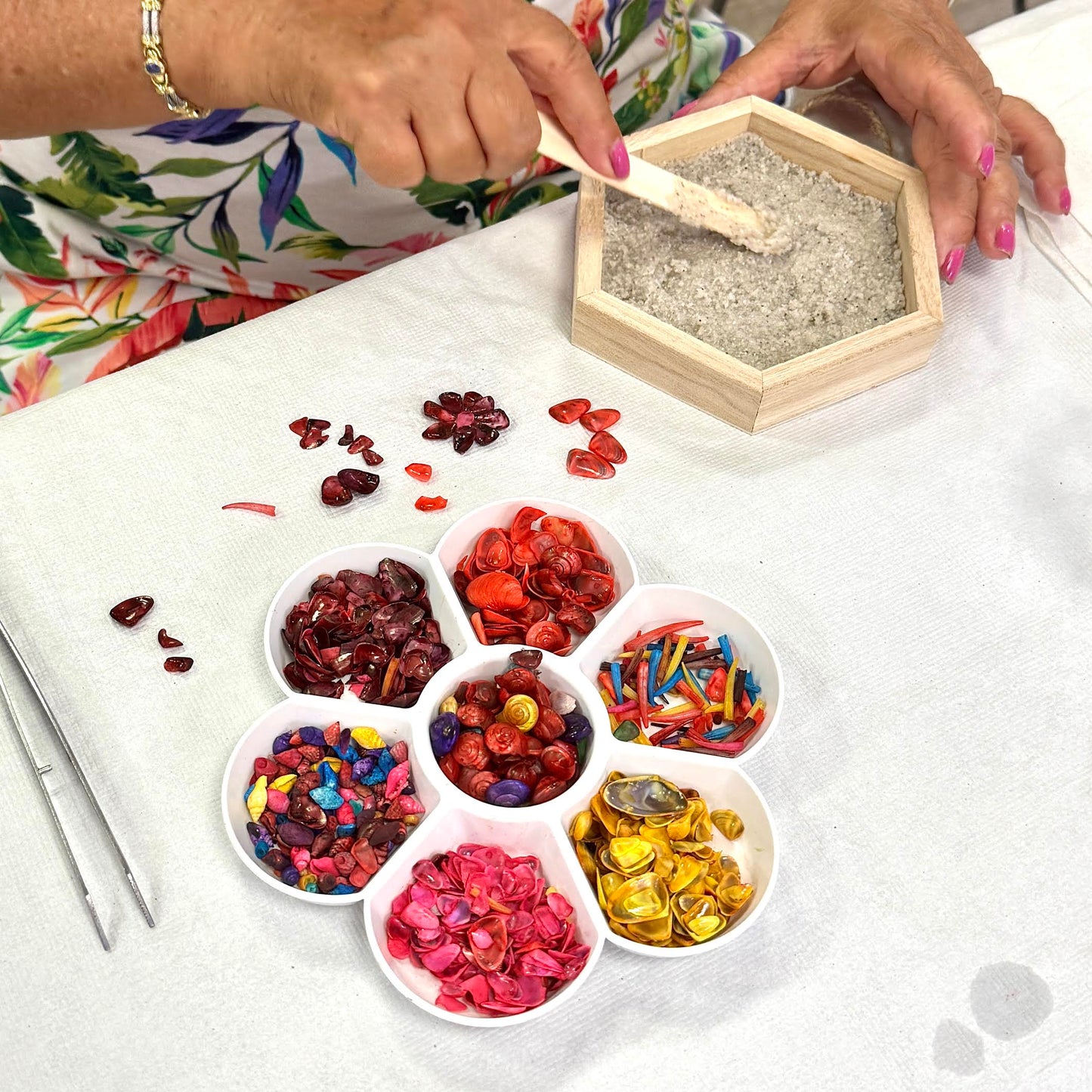 02-06 Be My Valentine; Seashell Relief Sculpture!