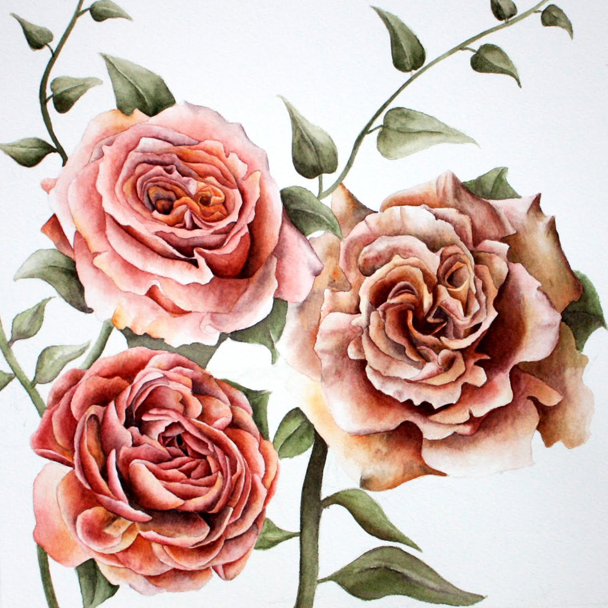 12-01 Intro to Watercolor: Painting Flowers w/Cathleen Ficht