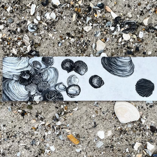 11-13 Drawing Seashells with Conte Crayon w/Cathleen Ficht