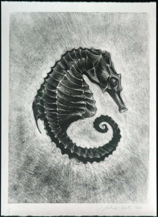 Seahorse