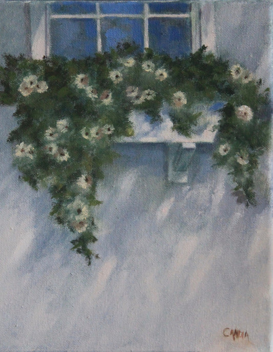 Window Box