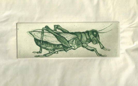 Good Luck Grasshopper