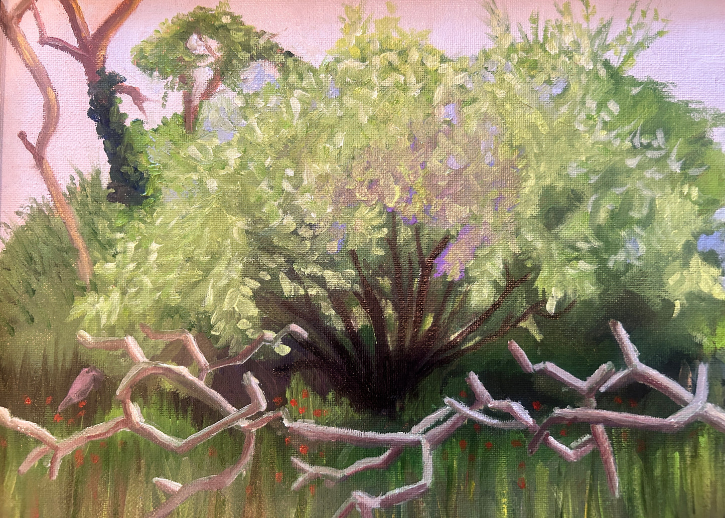 The Dead Branch