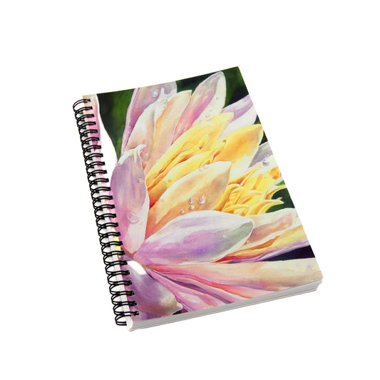 Waterlily Sketchbook