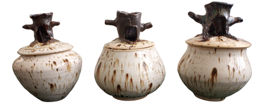 Medium Tree Trunk Jars