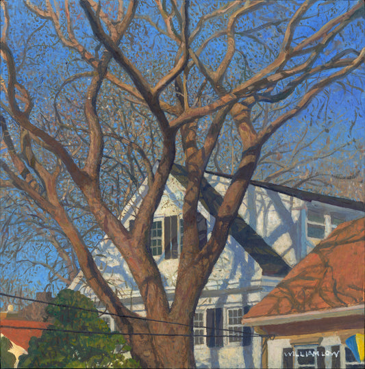 Cape Spring