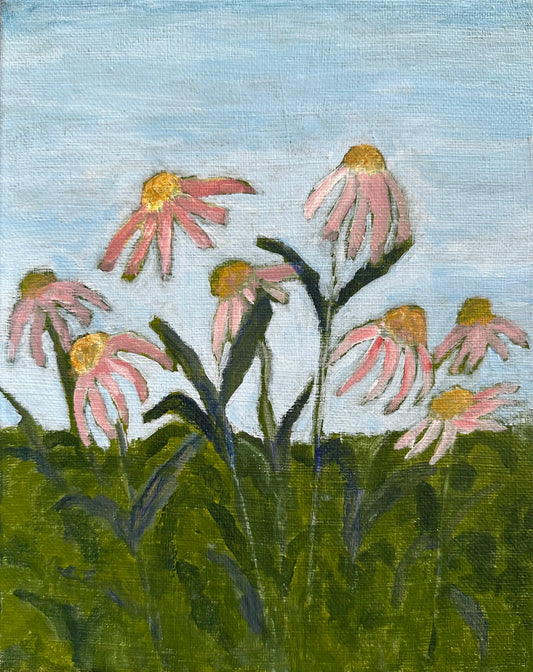 Coneflowers