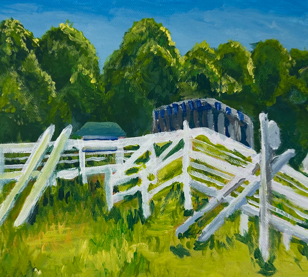 Fenced in Field