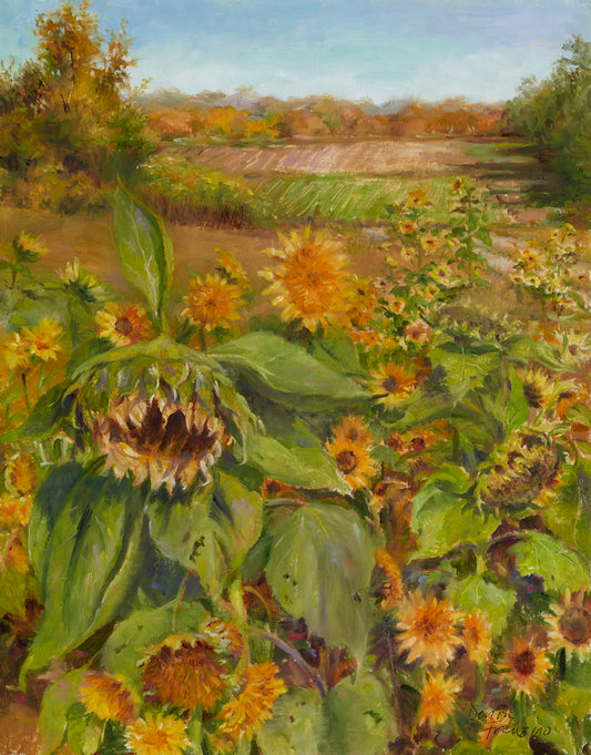 Last of the Sunflowers