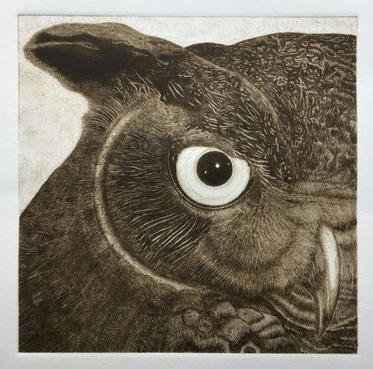Hooter on Hahnemuhle