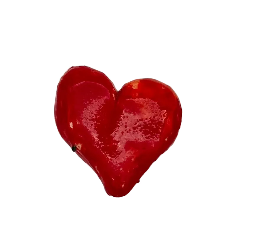 Ceramic Hearts