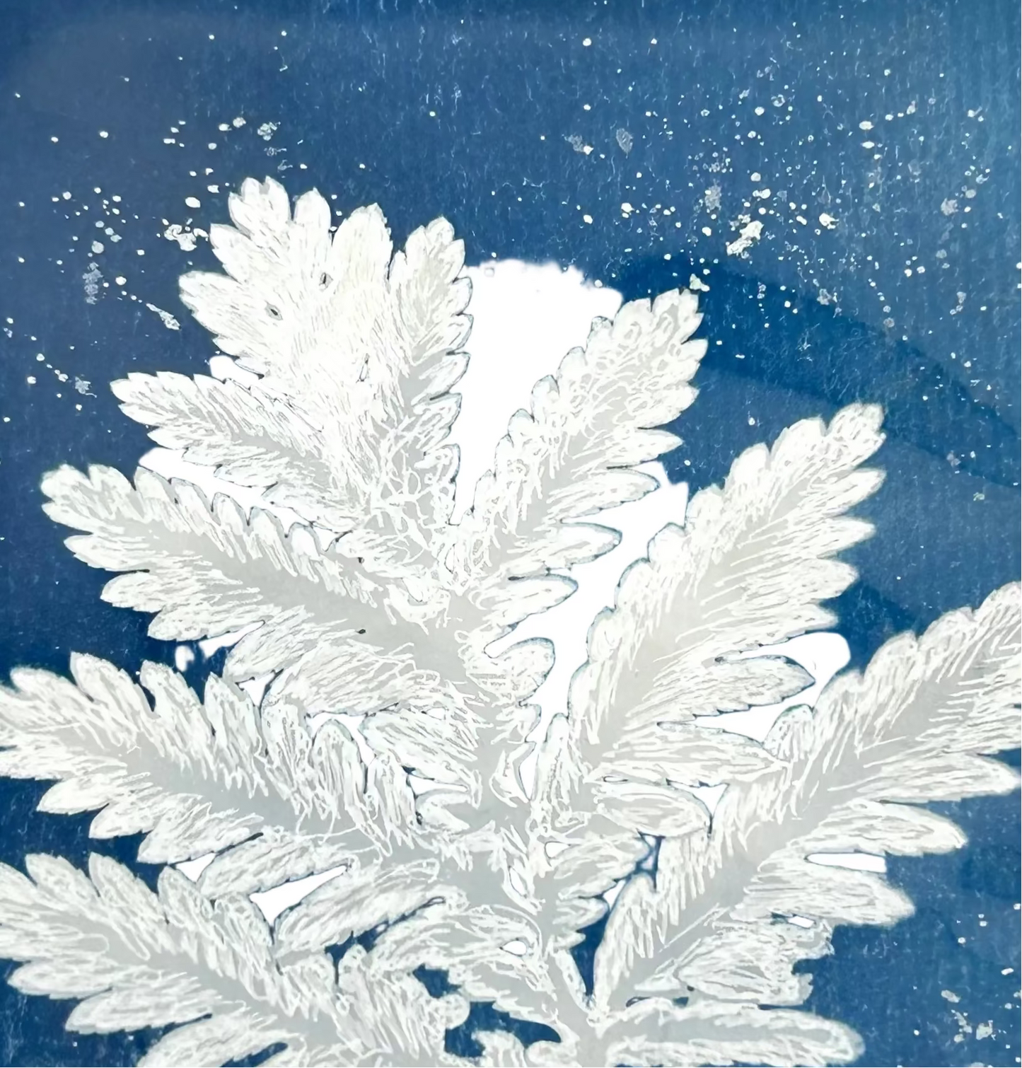 Tansy Print