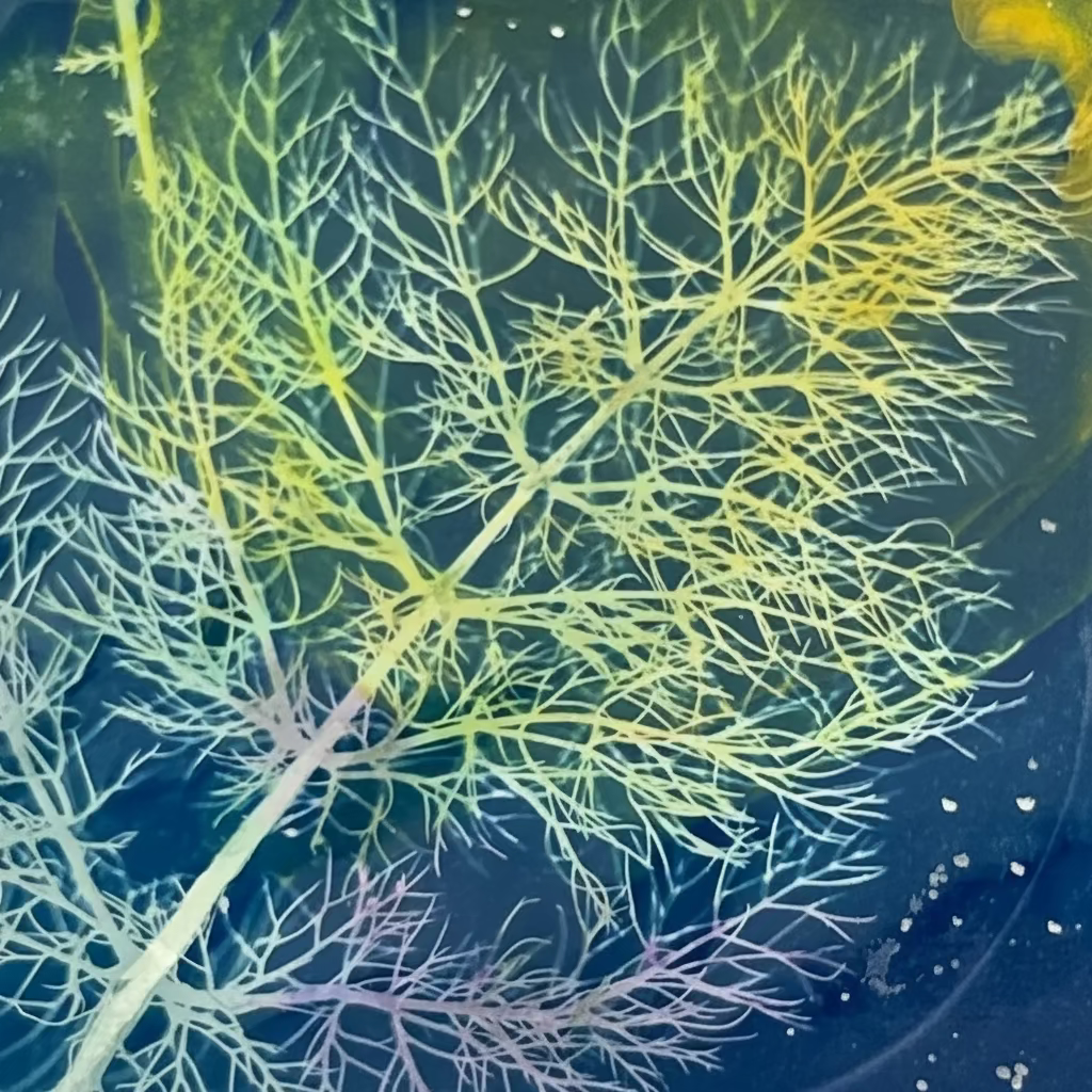 Fennel Print
