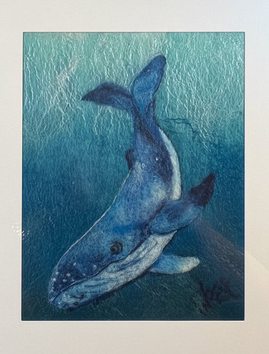 Humpback