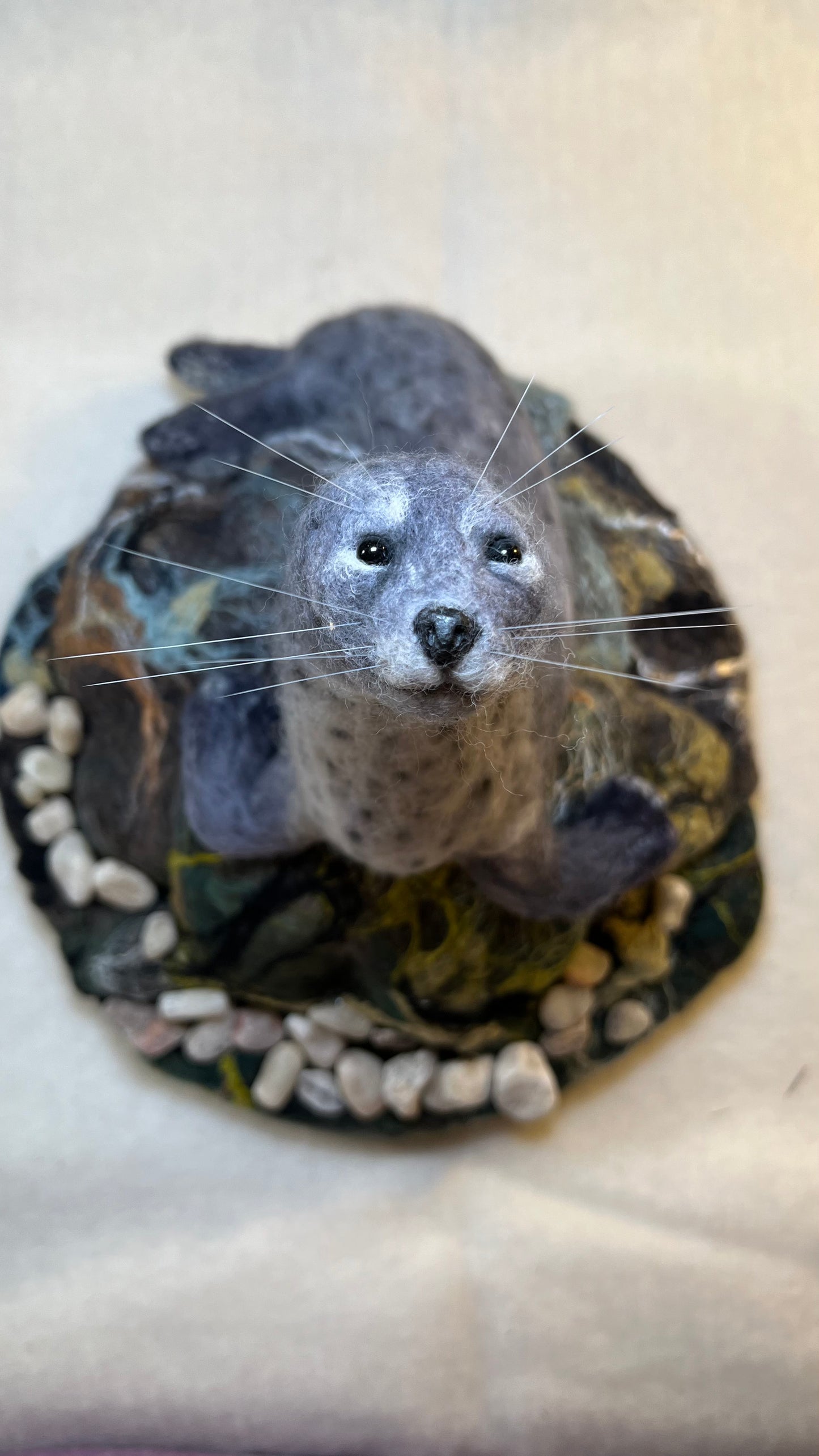 Seal