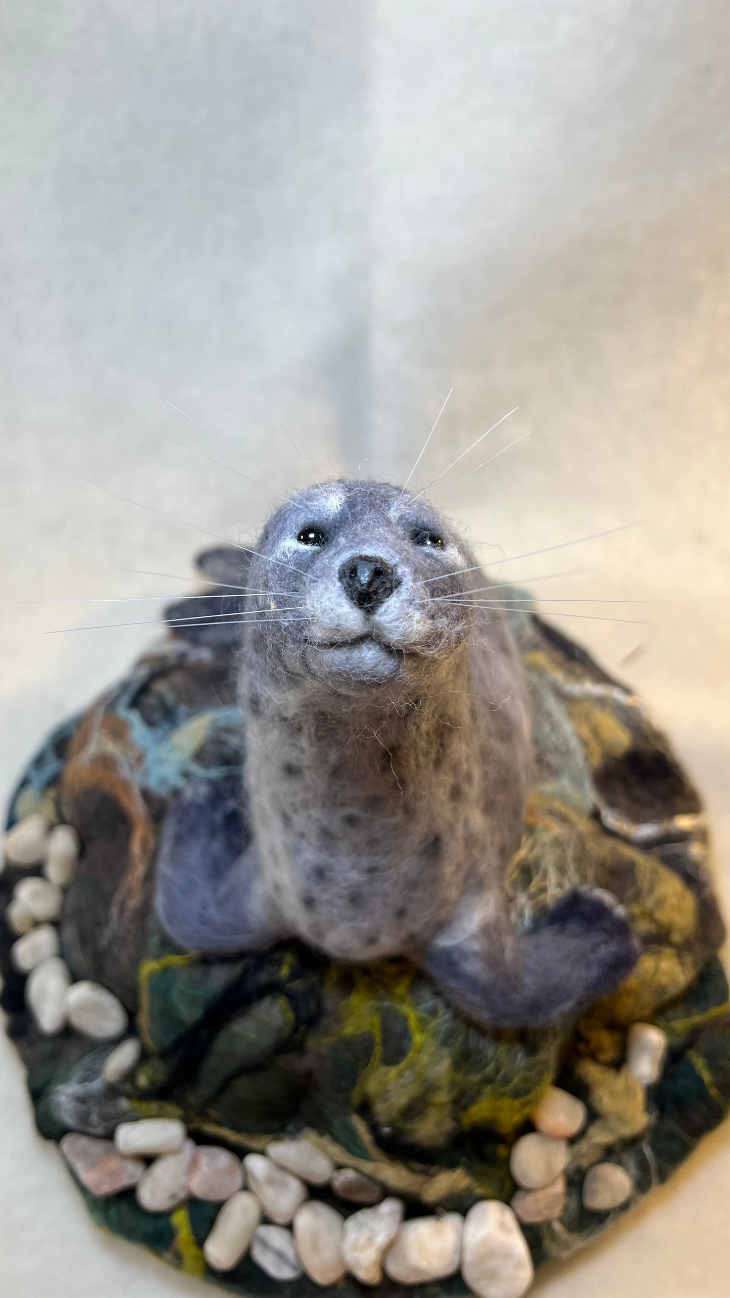 Seal