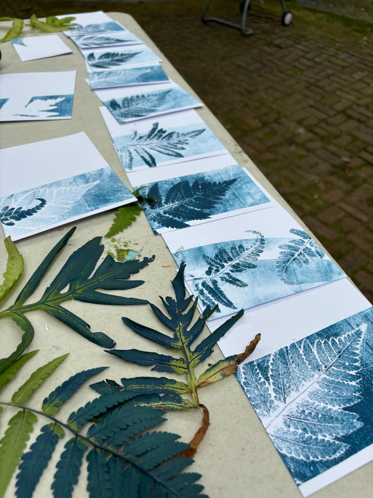 10-16 Nature Printing with Ferns
