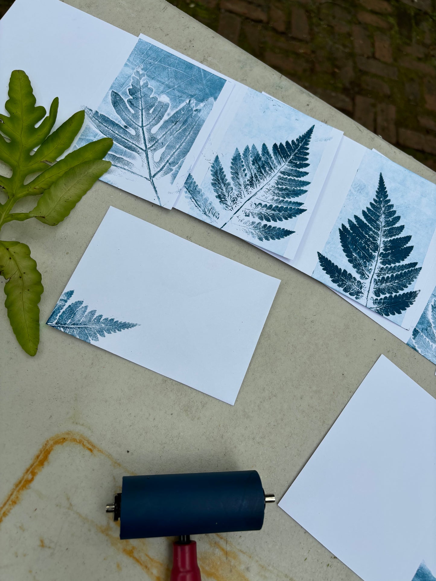 10-16 Nature Printing with Ferns
