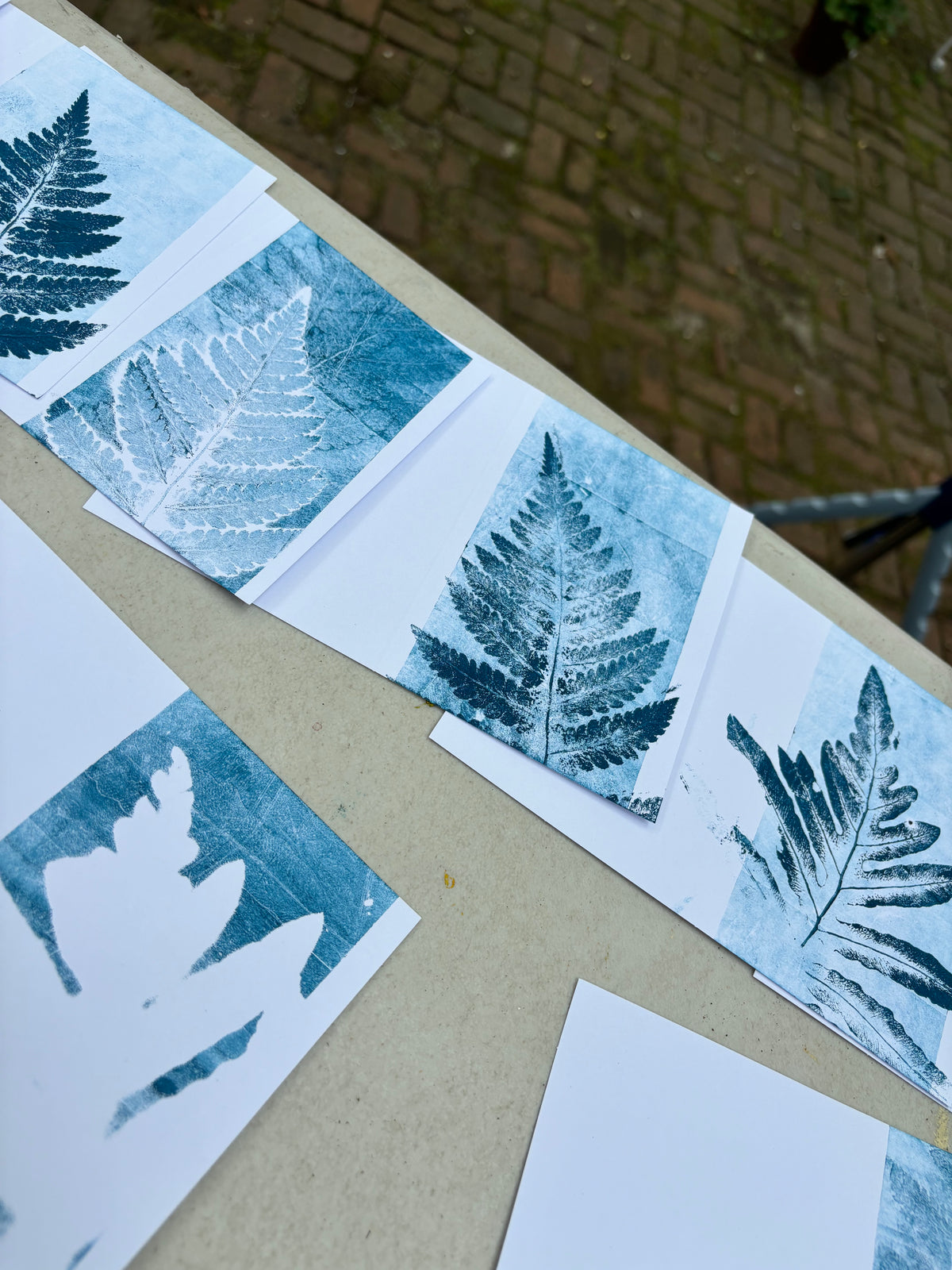 10-16 Nature Printing with Ferns