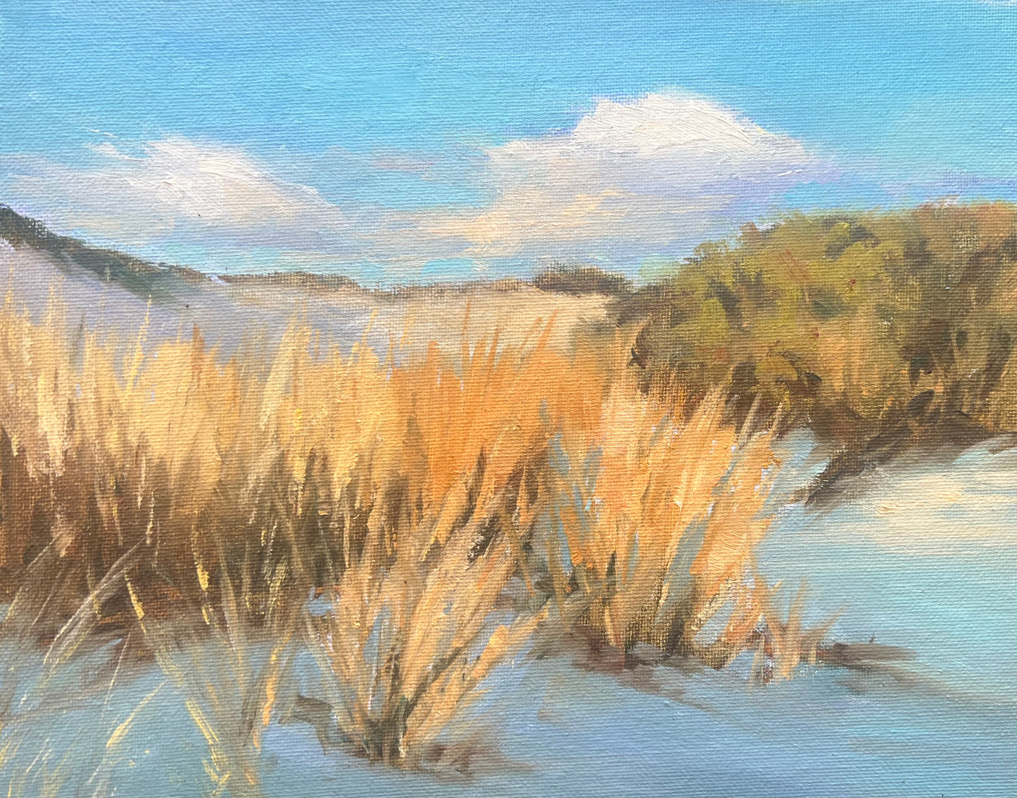 Dune View