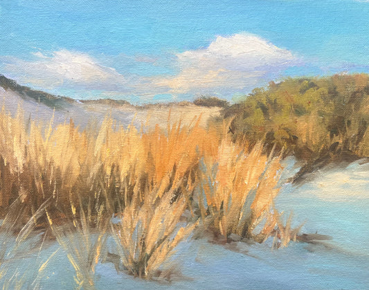Dune View