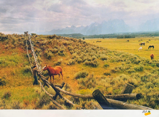 Yellowstone