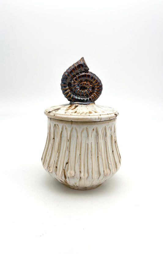 Ammonite Covered Jar
