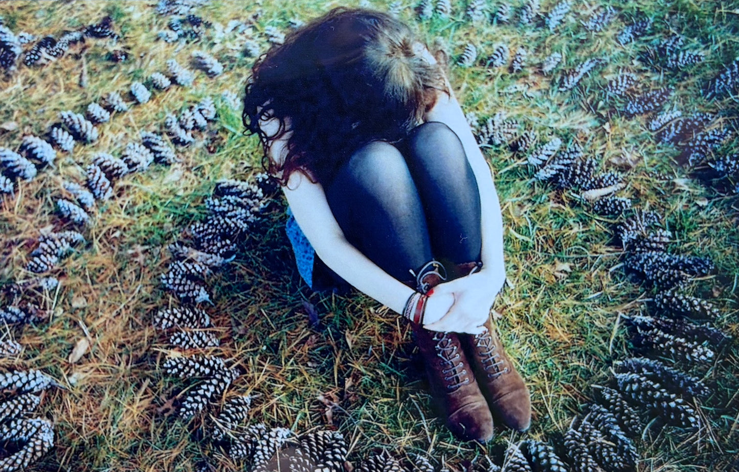 Pinecone Circle
