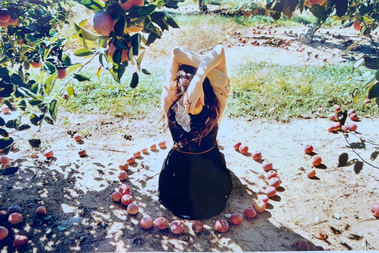 Apple Circle