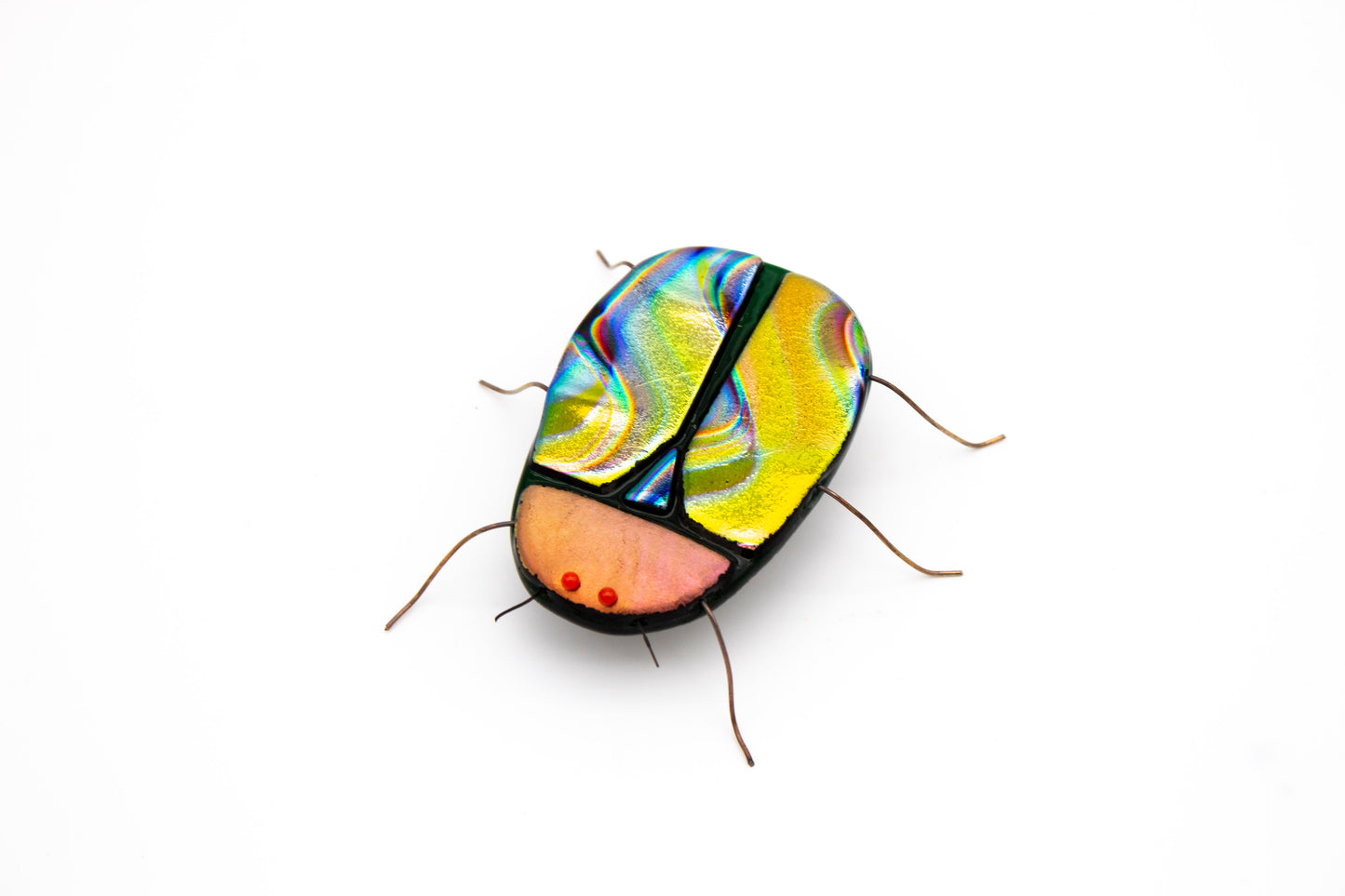 Multicolored Beetle