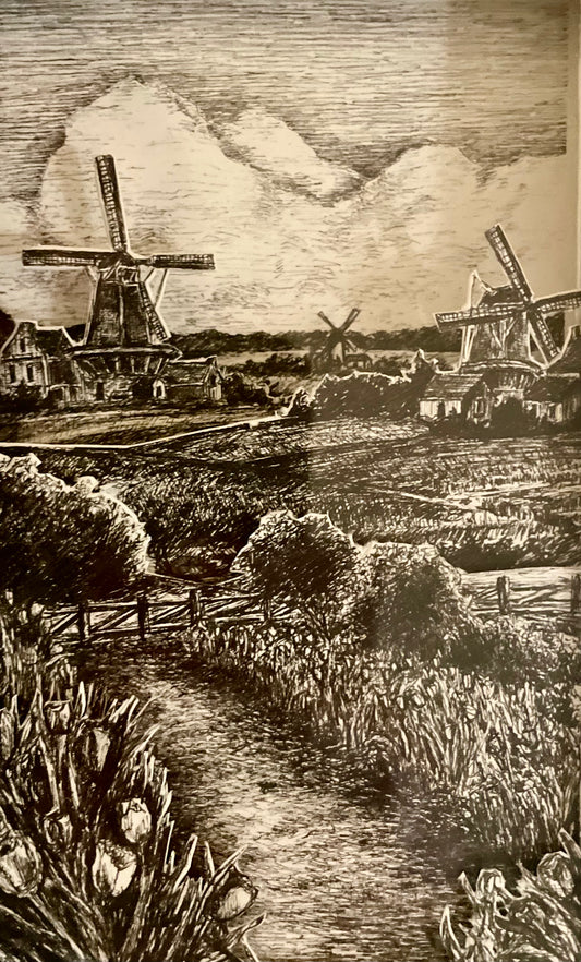 Tulip Fields