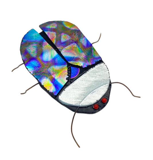 Multicolored Beetle