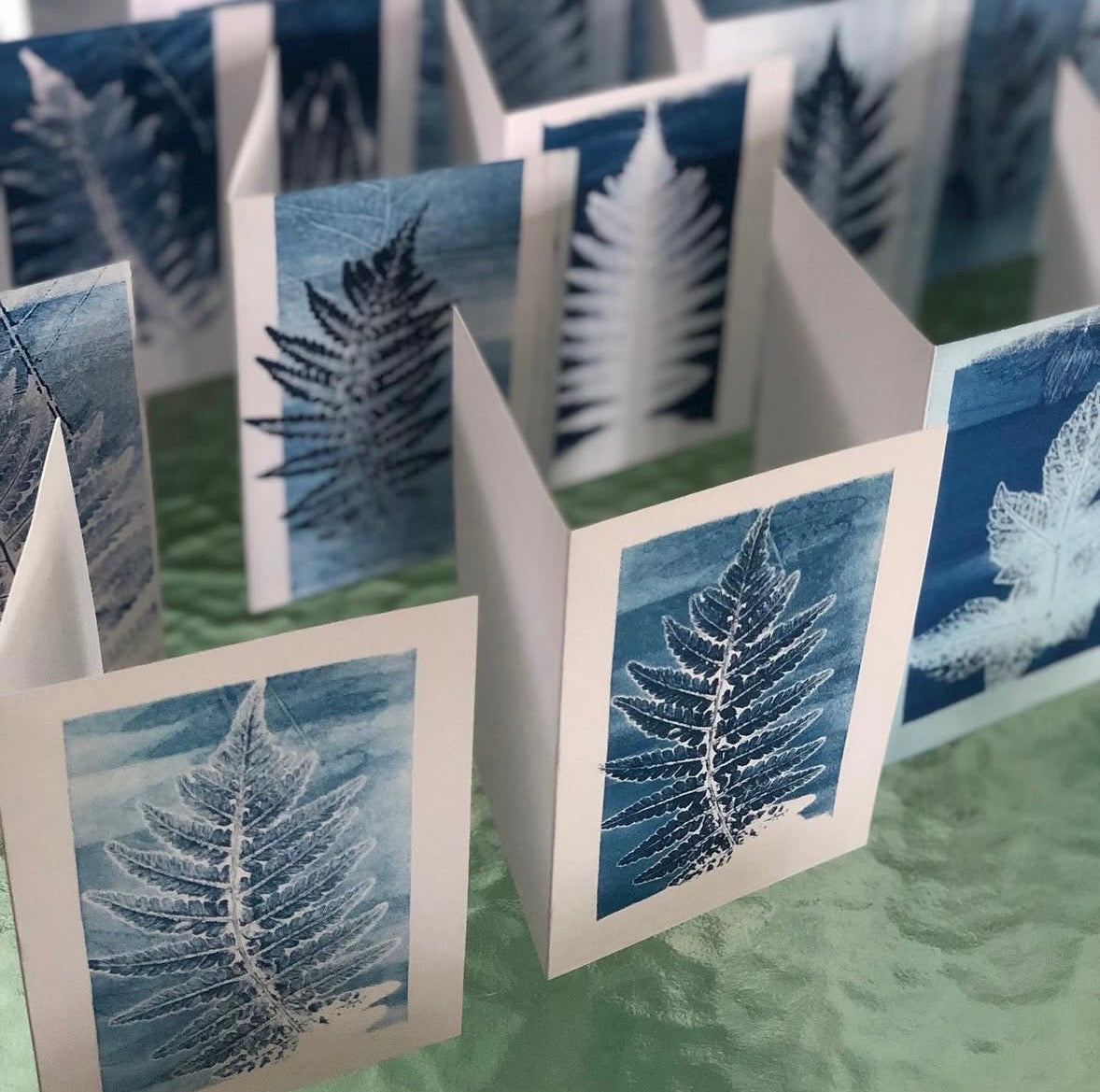 10-16 Nature Printing with Ferns