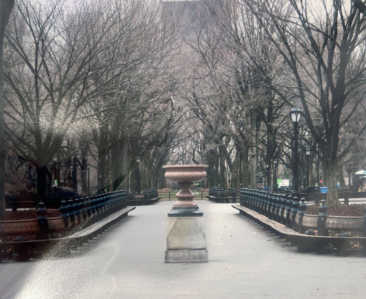 Central Park