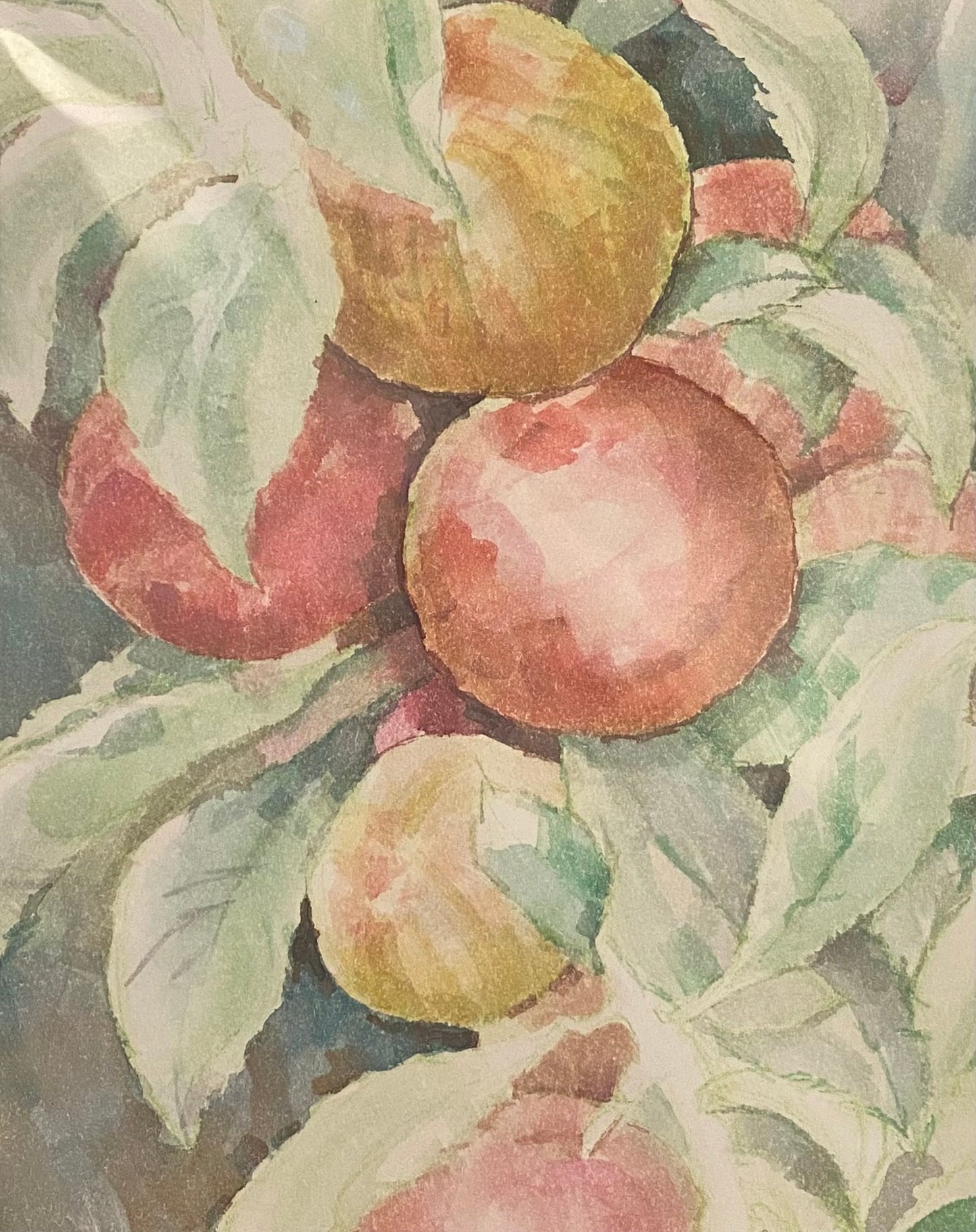 Apples