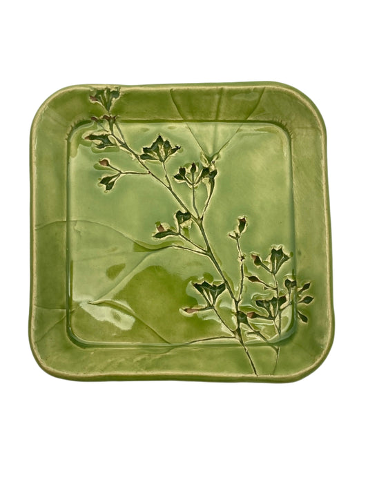 Green Square Dish