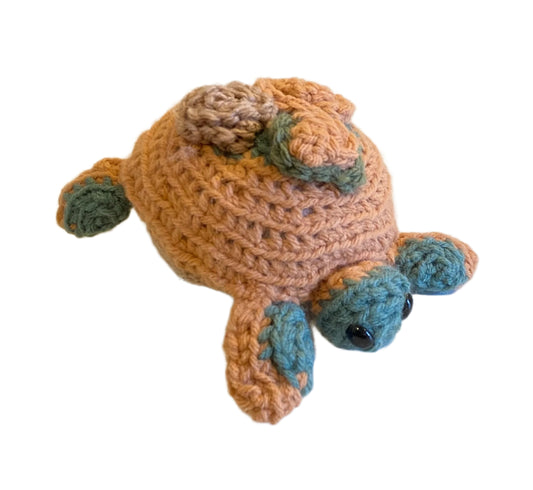 Peach Turtle