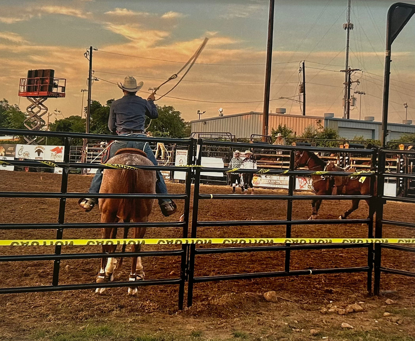 Texas Rodeo