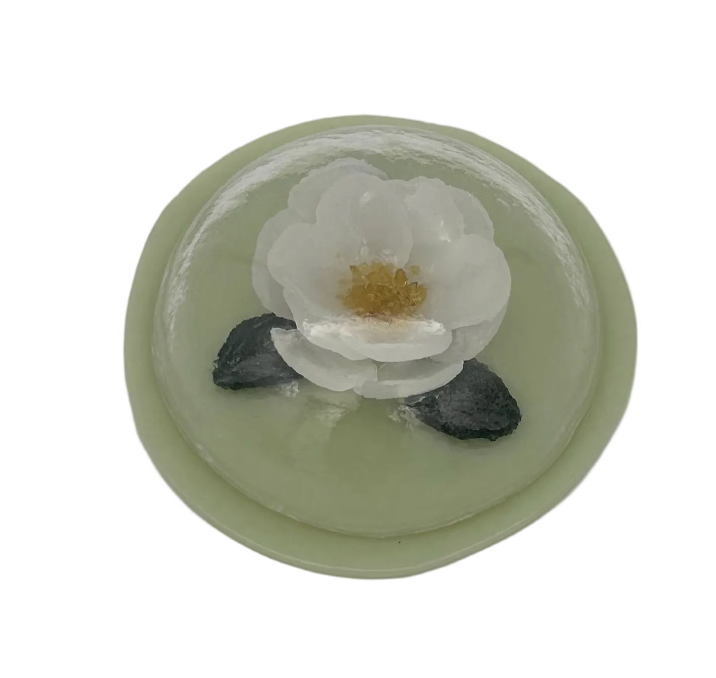 White Flower Under Glass