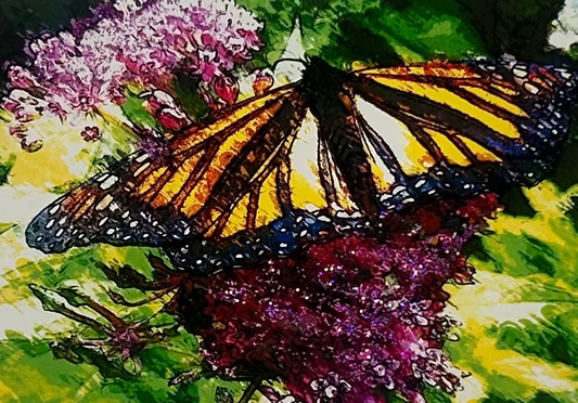 Butterfly Card