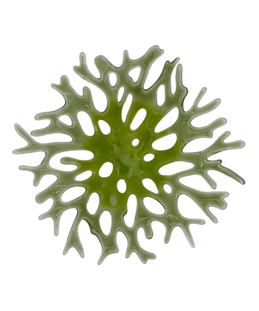 Green Coral Bowl