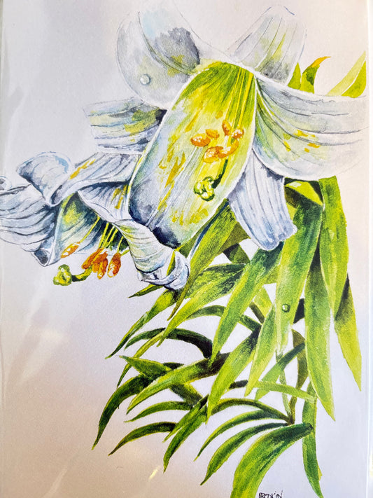 Lilies - Art Cards